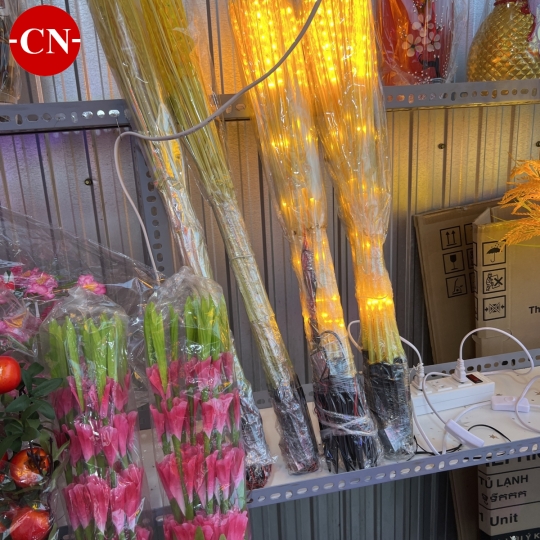 Bó lúa mạch có led 20 bông