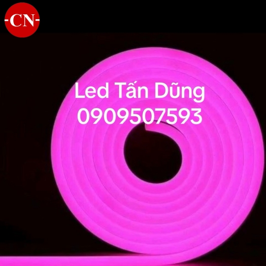 Led neon 12v
