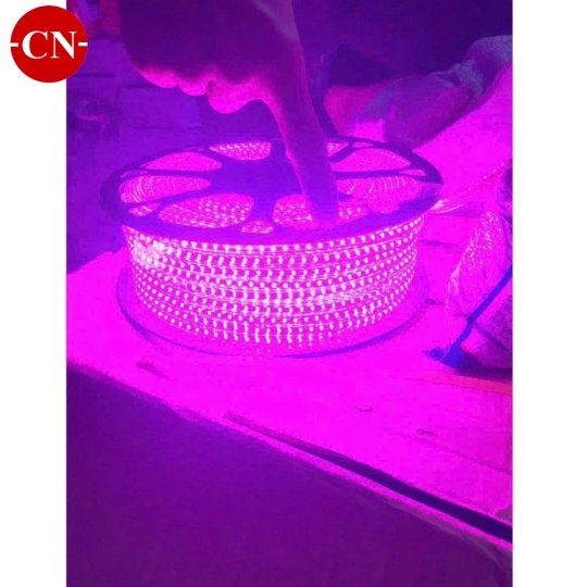 Led cuộn 2 hàng bóng ( led 2835)