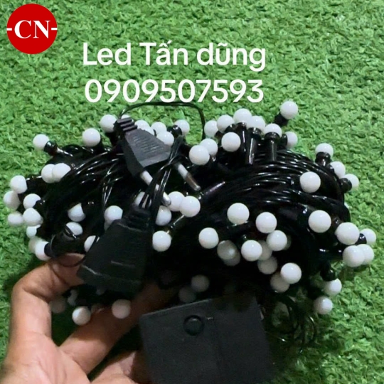 Dây led ngọc trai ( 10 mét)