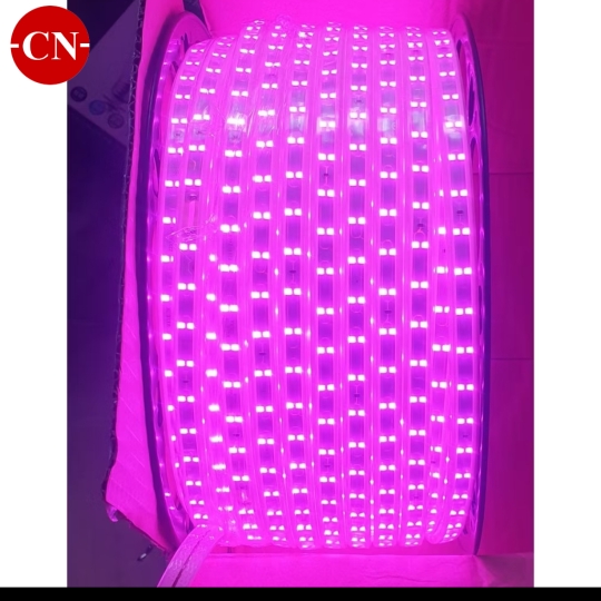 Led  cuộn 2 hàng bóng led.
